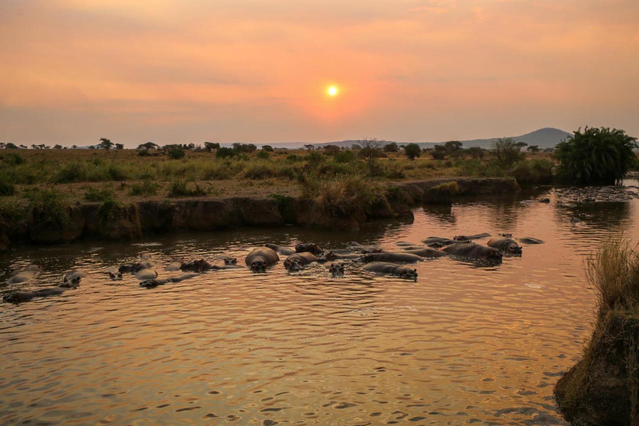 Osero Serengeti Luxury Tented Camp Banagi Bagian luar foto